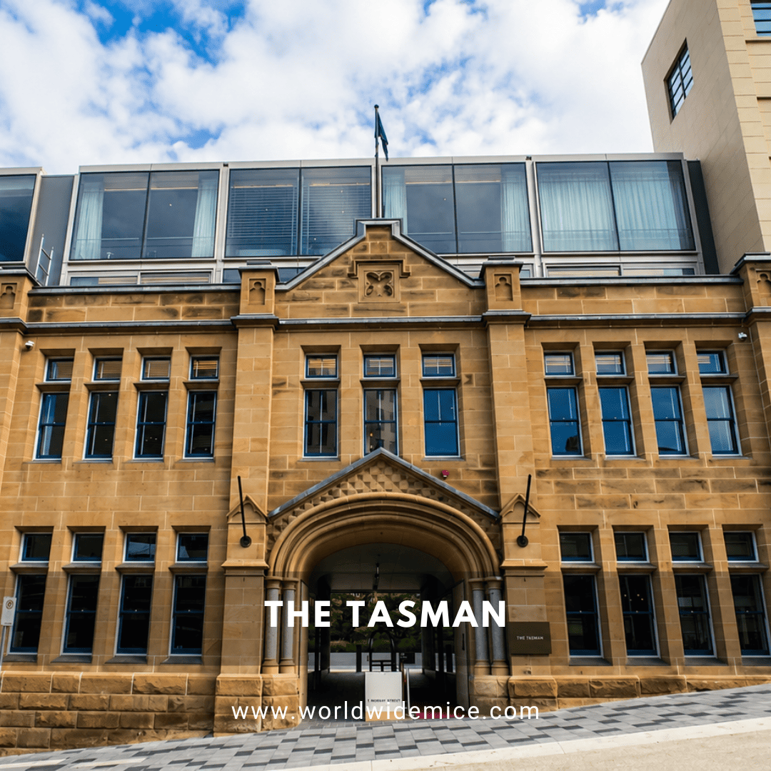 THE TASMAN
